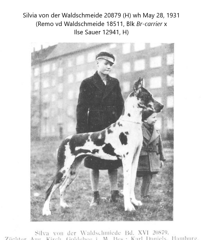 Silva von der Waldschmiede